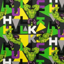 [44634] Baumwolljersey Lizenz Marvel Avengers Incredible Hulk