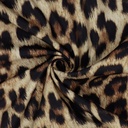 Softshell Leopard