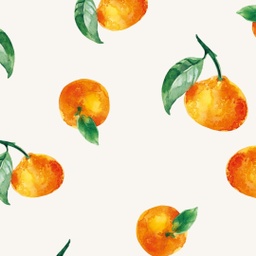 [45344] Baumwolljersey Orangen Weiß